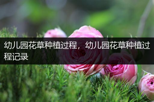 幼儿园花草种植过程，幼儿园花草种植过程记录