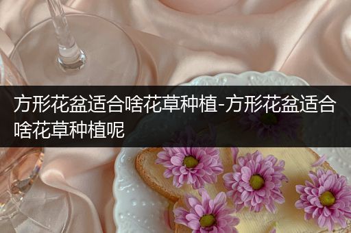 方形花盆适合啥花草种植-方形花盆适合啥花草种植呢