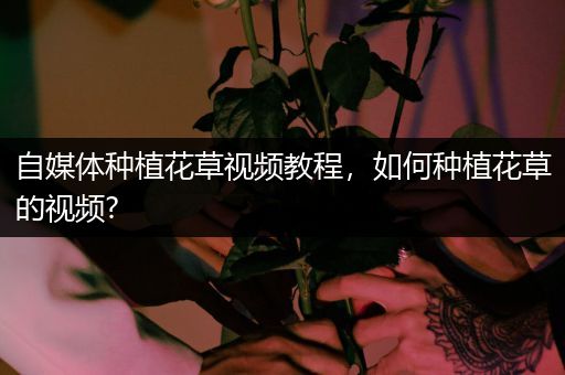自媒体种植花草视频教程，如何种植花草的视频?