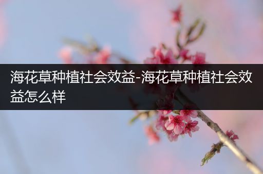 海花草种植社会效益-海花草种植社会效益怎么样