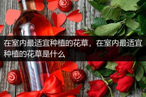 在室内最适宜种植的花草，在室内最适宜种植的花草是什么