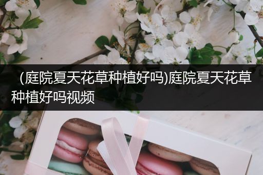 （庭院夏天花草种植好吗)庭院夏天花草种植好吗视频