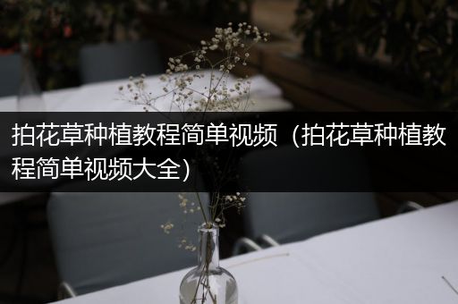 拍花草种植教程简单视频（拍花草种植教程简单视频大全）