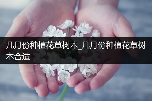 几月份种植花草树木_几月份种植花草树木合适
