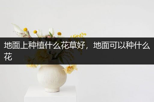 地面上种植什么花草好，地面可以种什么花