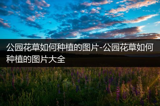 公园花草如何种植的图片-公园花草如何种植的图片大全