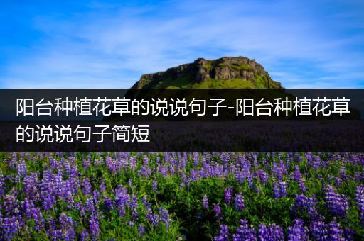 阳台种植花草的说说句子-阳台种植花草的说说句子简短