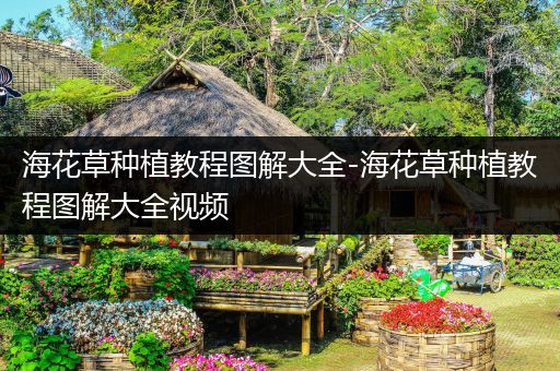 海花草种植教程图解大全-海花草种植教程图解大全视频