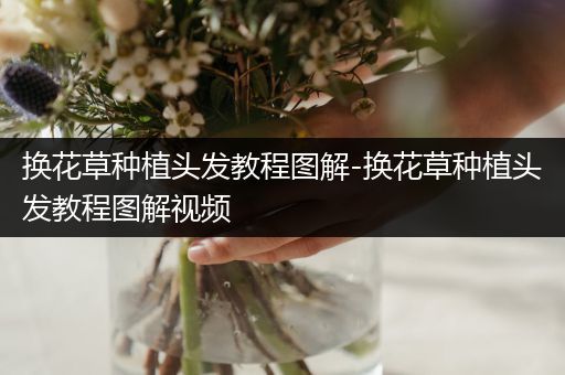 换花草种植头发教程图解-换花草种植头发教程图解视频