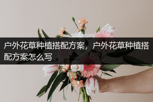 户外花草种植搭配方案，户外花草种植搭配方案怎么写