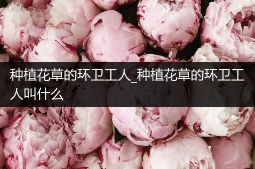 种植花草的环卫工人_种植花草的环卫工人叫什么