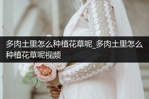 多肉土里怎么种植花草呢_多肉土里怎么种植花草呢视频