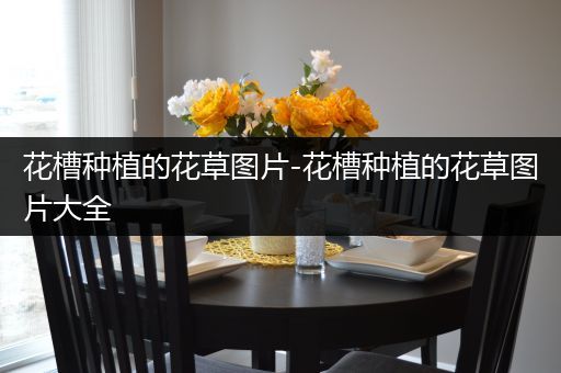 花槽种植的花草图片-花槽种植的花草图片大全