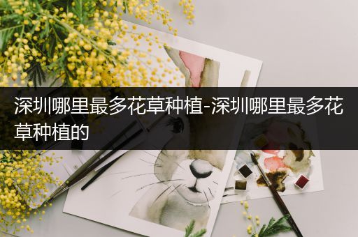 深圳哪里最多花草种植-深圳哪里最多花草种植的