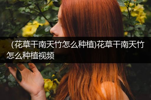 （花草干南天竹怎么种植)花草干南天竹怎么种植视频