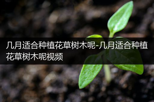 几月适合种植花草树木呢-几月适合种植花草树木呢视频