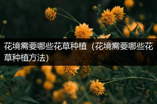 花境需要哪些花草种植（花境需要哪些花草种植方法）
