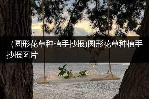 （圆形花草种植手抄报)圆形花草种植手抄报图片