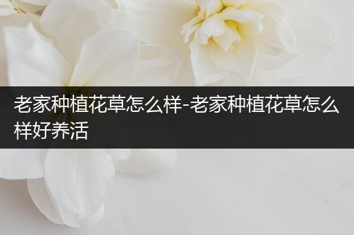 老家种植花草怎么样-老家种植花草怎么样好养活