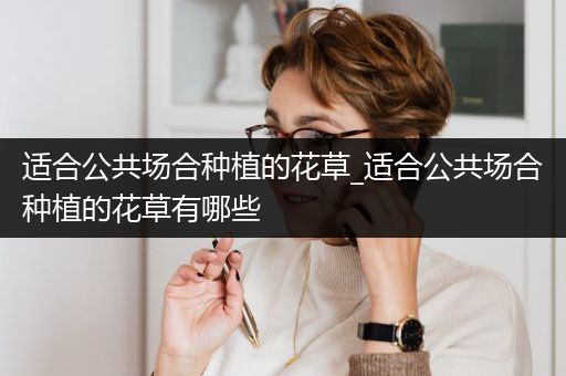 适合公共场合种植的花草_适合公共场合种植的花草有哪些