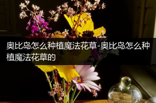 奥比岛怎么种植魔法花草-奥比岛怎么种植魔法花草的