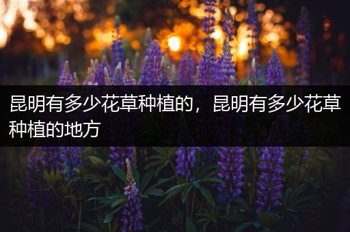 昆明有多少花草种植的，昆明有多少花草种植的地方