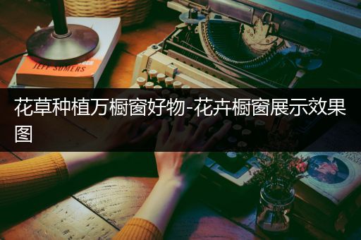 花草种植万橱窗好物-花卉橱窗展示效果图