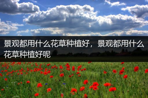 景观都用什么花草种植好，景观都用什么花草种植好呢