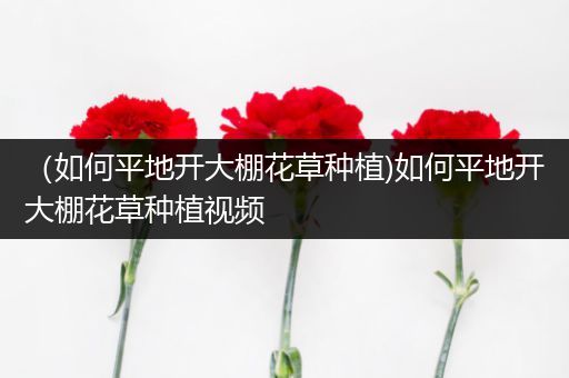 （如何平地开大棚花草种植)如何平地开大棚花草种植视频