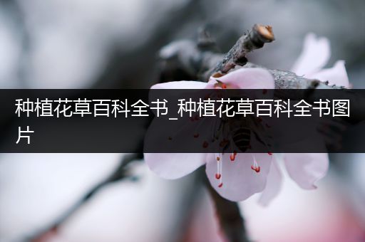 种植花草百科全书_种植花草百科全书图片