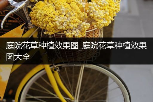 庭院花草种植效果图_庭院花草种植效果图大全