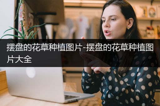 摆盘的花草种植图片-摆盘的花草种植图片大全