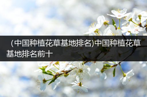 （中国种植花草基地排名)中国种植花草基地排名前十