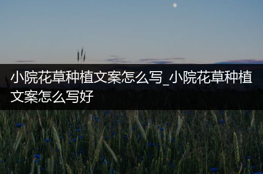 小院花草种植文案怎么写_小院花草种植文案怎么写好