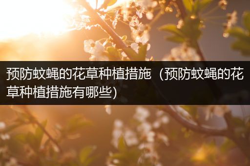 预防蚊蝇的花草种植措施（预防蚊蝇的花草种植措施有哪些）