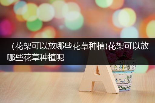 （花架可以放哪些花草种植)花架可以放哪些花草种植呢
