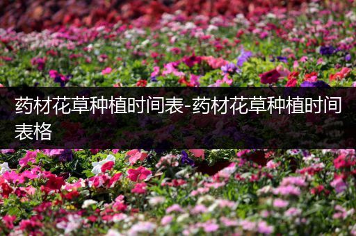 药材花草种植时间表-药材花草种植时间表格
