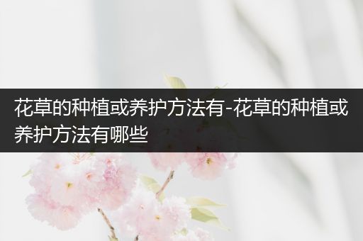 花草的种植或养护方法有-花草的种植或养护方法有哪些