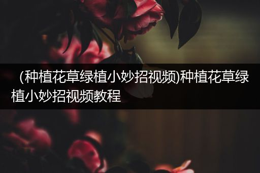 （种植花草绿植小妙招视频)种植花草绿植小妙招视频教程