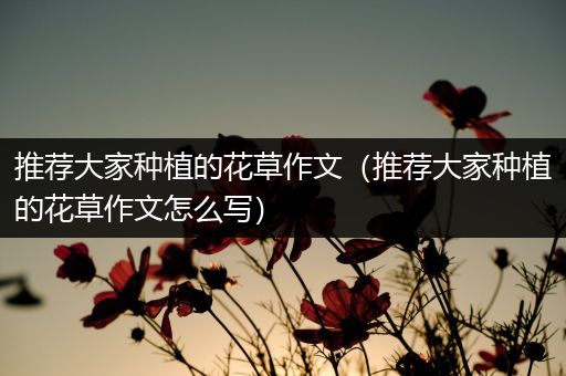 推荐大家种植的花草作文（推荐大家种植的花草作文怎么写）