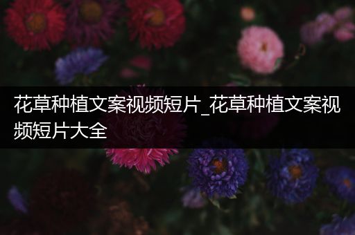 花草种植文案视频短片_花草种植文案视频短片大全