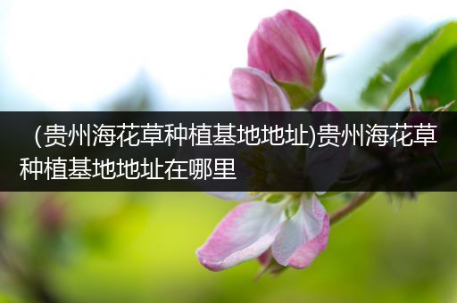 （贵州海花草种植基地地址)贵州海花草种植基地地址在哪里