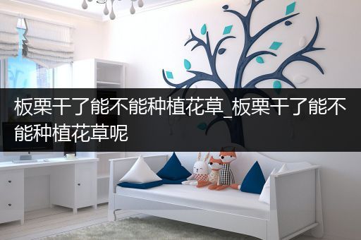 板栗干了能不能种植花草_板栗干了能不能种植花草呢