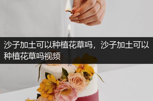 沙子加土可以种植花草吗，沙子加土可以种植花草吗视频