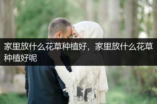 家里放什么花草种植好，家里放什么花草种植好呢