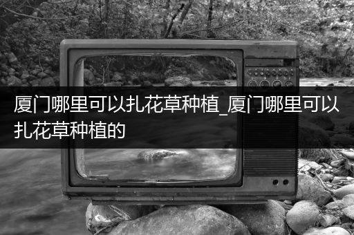 厦门哪里可以扎花草种植_厦门哪里可以扎花草种植的