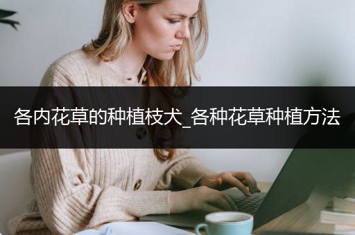 各内花草的种植枝犬_各种花草种植方法