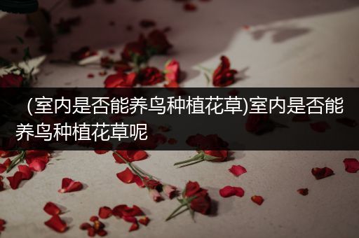 （室内是否能养鸟种植花草)室内是否能养鸟种植花草呢