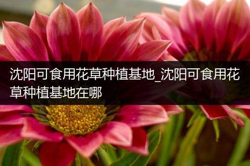 沈阳可食用花草种植基地_沈阳可食用花草种植基地在哪
