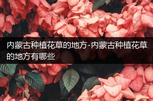 内蒙古种植花草的地方-内蒙古种植花草的地方有哪些